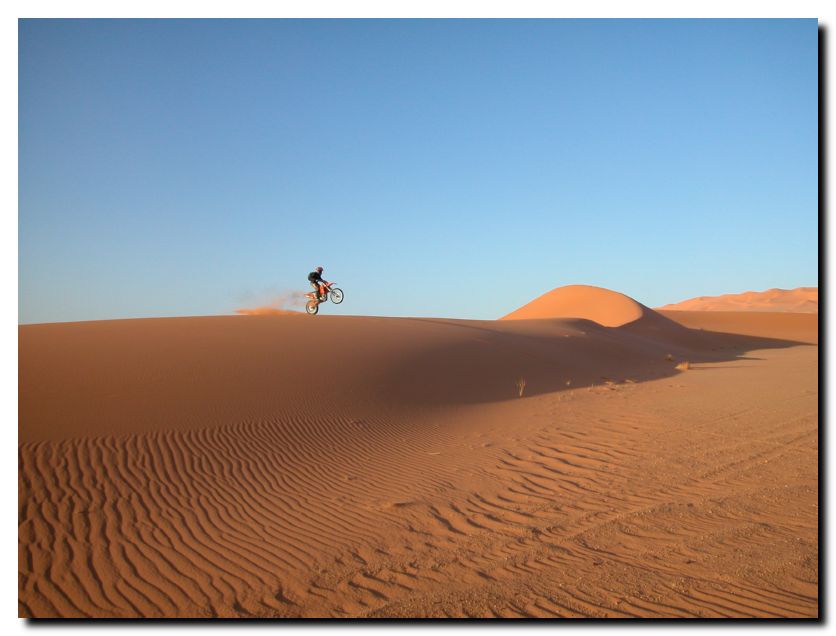 059 - Pinna in Libia